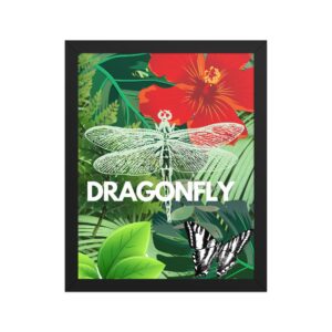 Framed Poster: "Dragonfly"