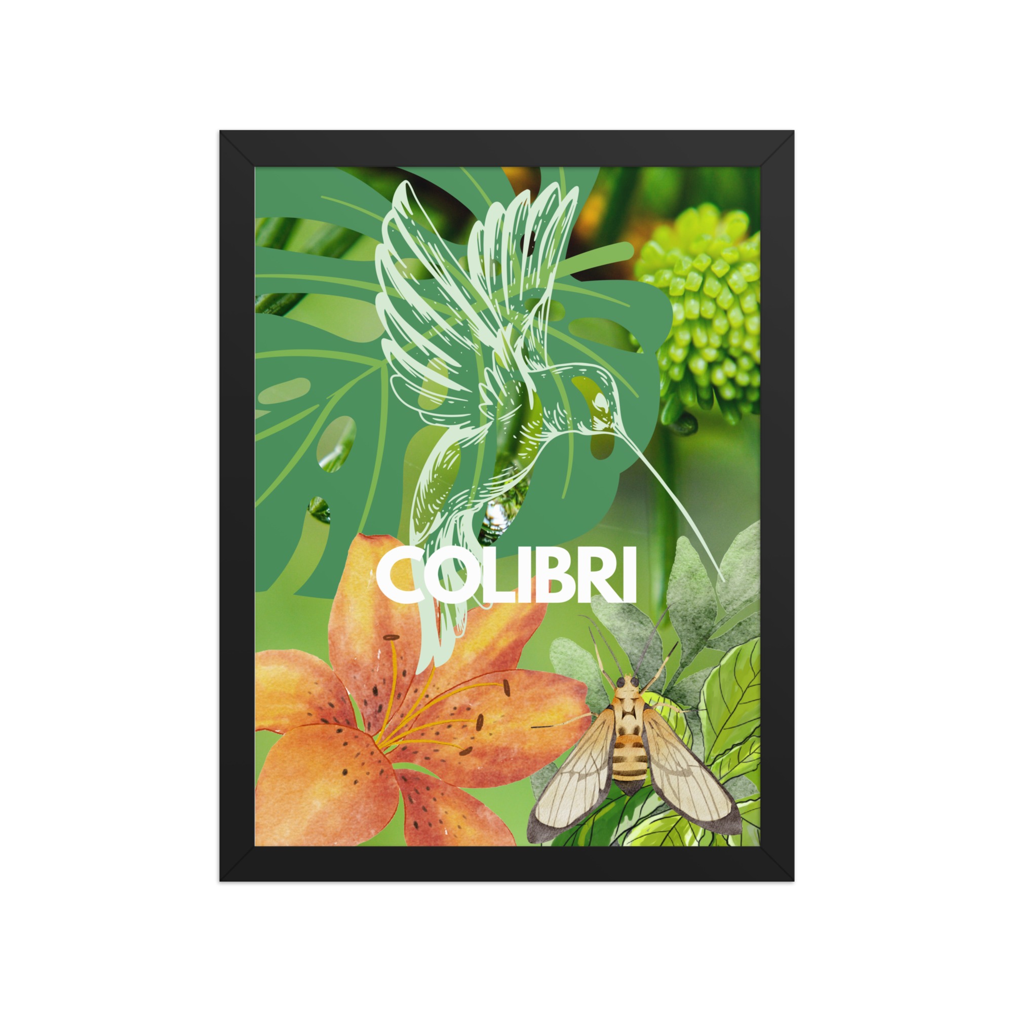 Framed Poster: "Colibri" - Image 2
