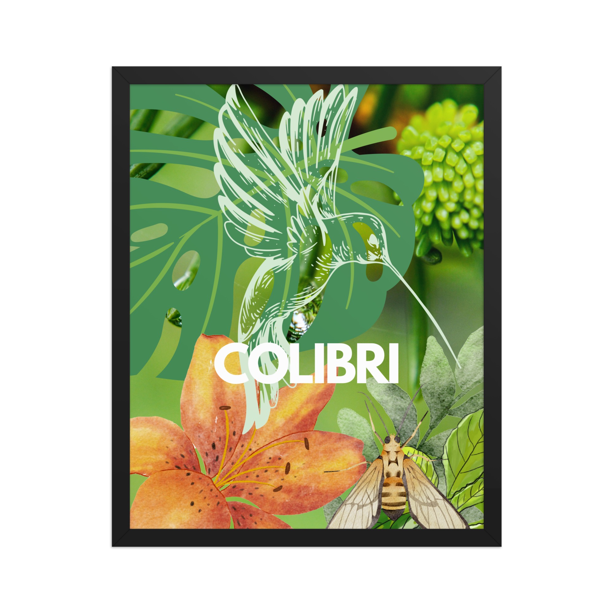 Framed Poster: "Colibri" - Image 3