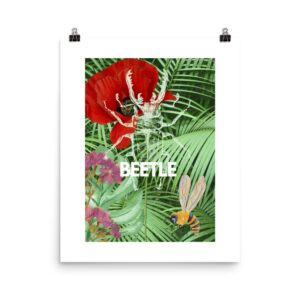 Unframed Poster: "Beetle"
