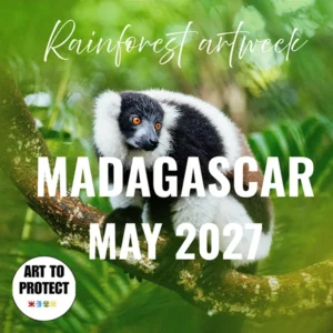 Art Week Madagascar May 2027