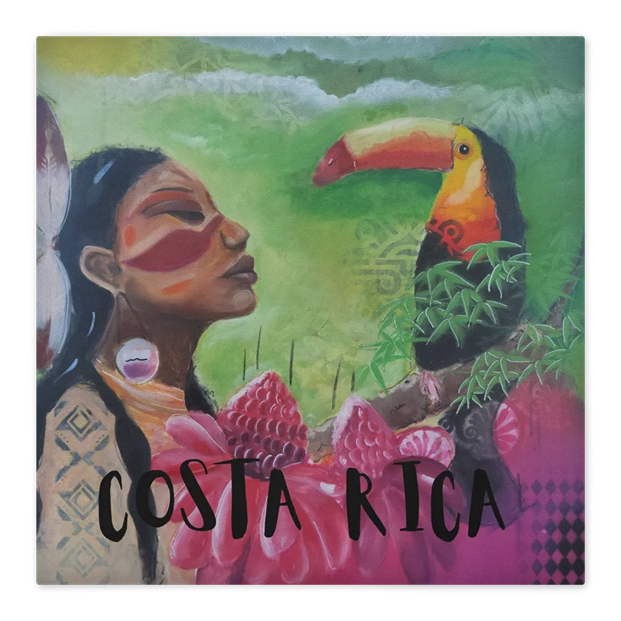 Cotton pillow case | Costa Rica | Queens of the Jungle - Image 2
